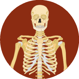 Click to play online Bare Bones icon